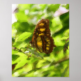 Poster Aquarelle papillon colorée Croquis Nature