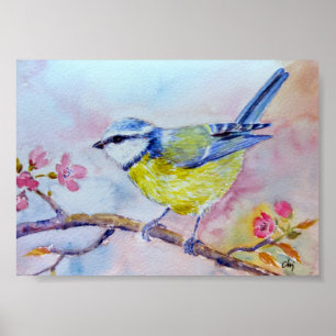 Poster Aquarelle Peinture Bluetit Oiseau bleu