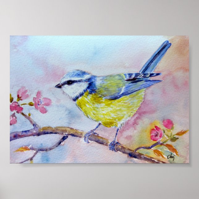 Poster Aquarelle Peinture Bluetit Oiseau bleu (Devant)