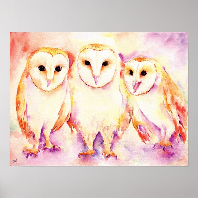 Poster Aquarelle Peinture de 3 Chouettes d'Amérique (Devant)