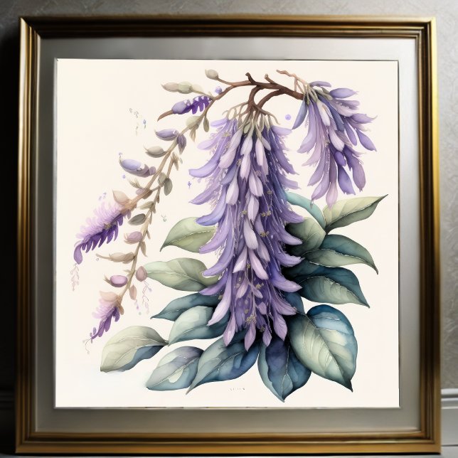 Poster Aquarelle Peinture de Wisteria (Créateur téléchargé)