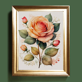 Poster Aquarelle Peinture d'un rose Rose