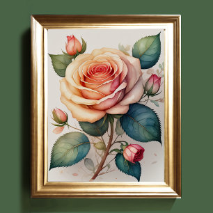 Poster Aquarelle Peinture d'un Rose rose II