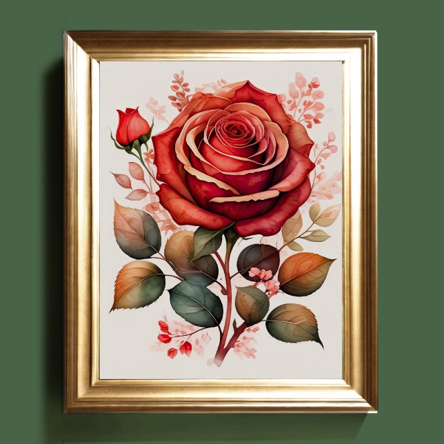 Poster Aquarelle Peinture d'un Rose rouge (Créateur téléchargé)