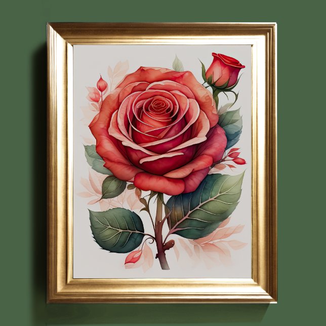 Poster Aquarelle Peinture d'un Rose Rouge II (Créateur téléchargé)