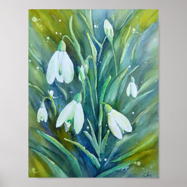 Poster Aquarelle Peinture Snowdrops (Devant)