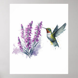 Poster Aquarelle Penstemon Flower and Hummingbird