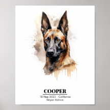 Aquarelle personnalisable Peinture de Malinois