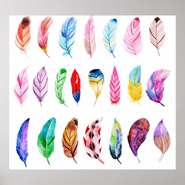 Poster Aquarelle Plumes : Belle Collection Vintage. (Devant)