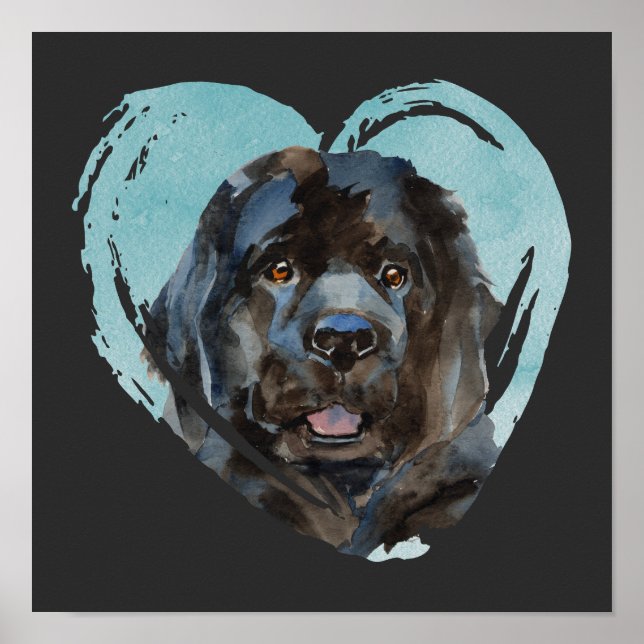 Poster Aquarelle Portrait de Terre-Neuve (Devant)