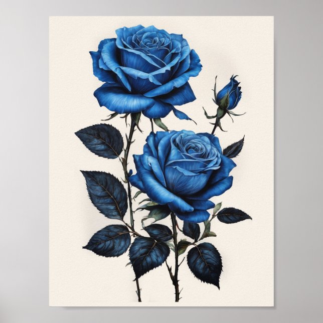 Poster Aquarelle Rose bleue (Devant)