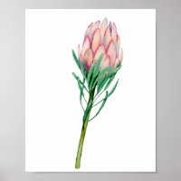 Aquarelle rose Floral Art