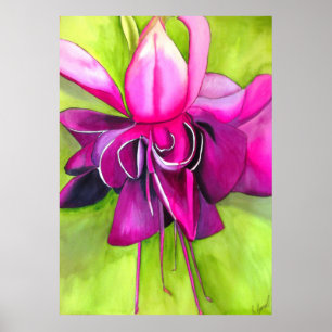 Poster Aquarelle rose Fuchsia