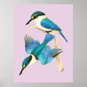Poster Aquarelle rose Kingfisher Birds 