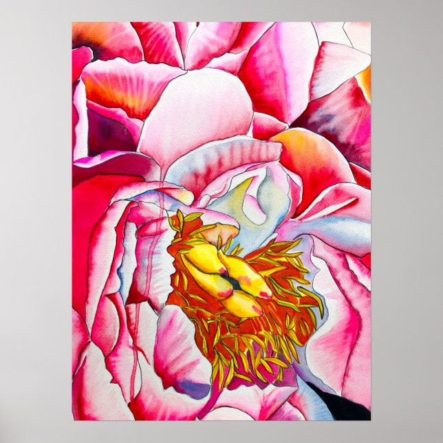 Poster Aquarelle rose Peony (Devant)