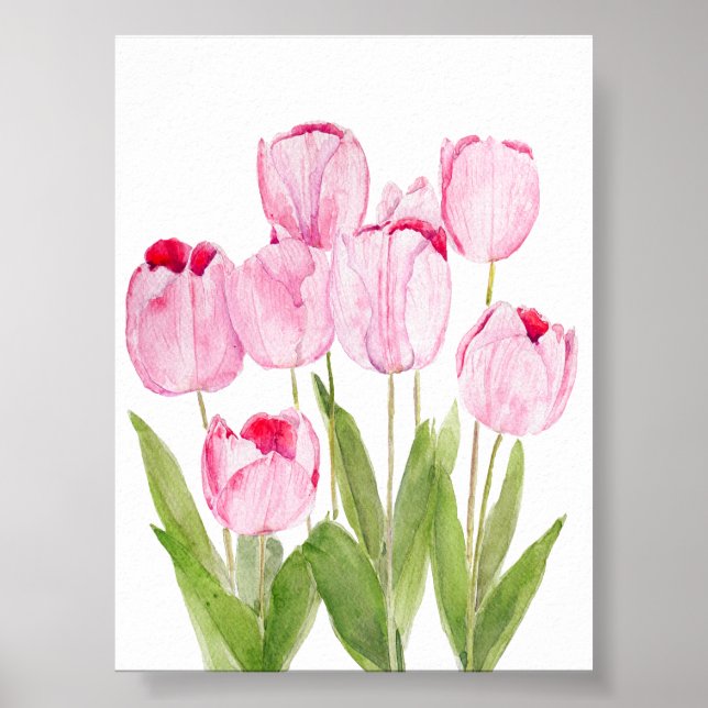 Poster Aquarelle rose tulipe (Devant)
