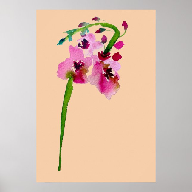 Poster Aquarelle rose Verbascum fleur rousse (Devant)