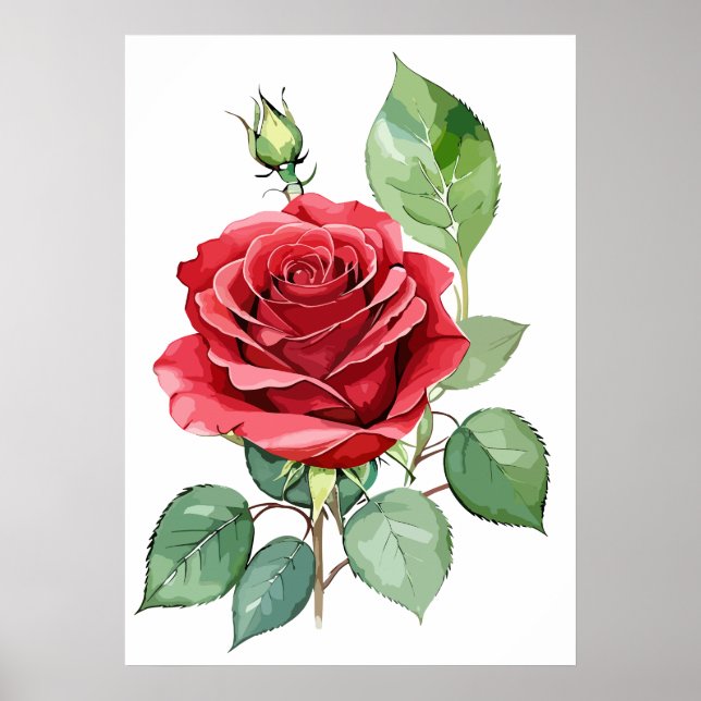 Poster Aquarelle Rouge Rose Art moderne (Devant)