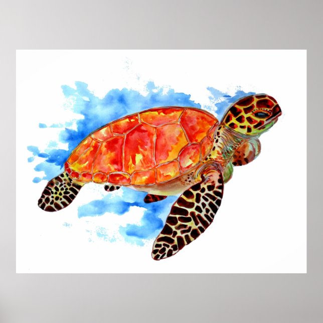 Poster Aquarelle rouge Tortue marine (Devant)