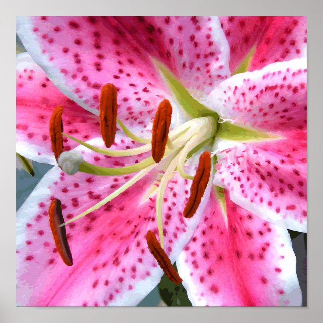 Poster Aquarelle Stargazer Lily Floral fin (Devant)