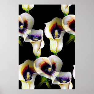 Poster Aquarelle Sublime Arum Calla Lilies
