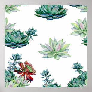 Poster Aquarelle succulent sans soudure motif, echeverie