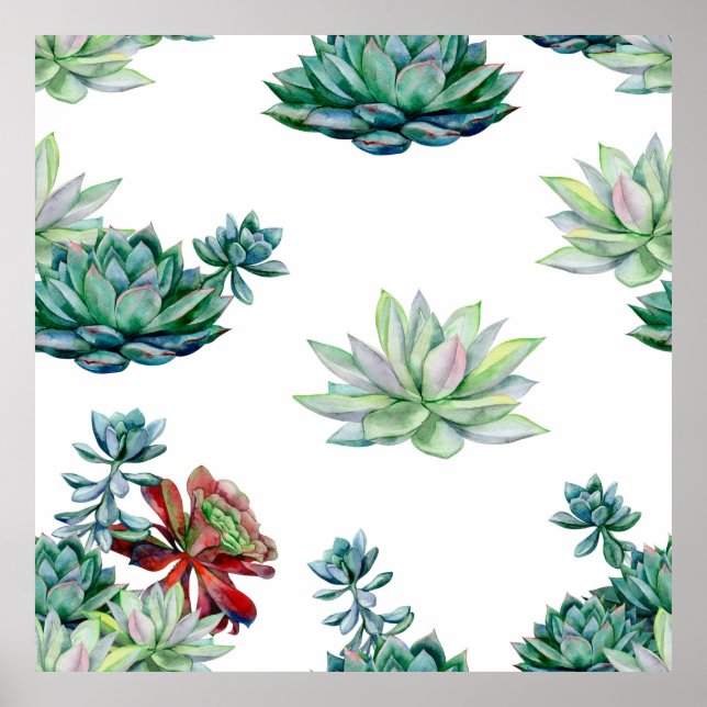 Poster Aquarelle succulent sans soudure motif, echeverie (Devant)