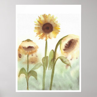 Poster Aquarelle Tournesol Imprimer