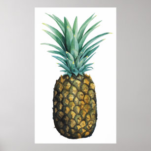 Poster Aquarelle tropicale à ananas