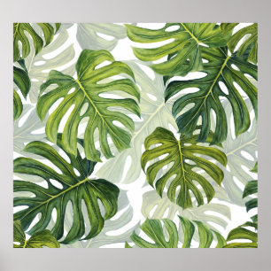 Poster Aquarelle tropicale de Monstera verte