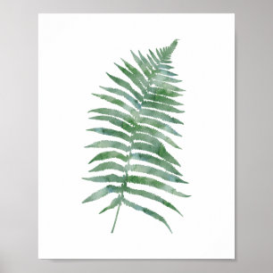 Poster Aquarelle verte de la feuille de foune botanique P