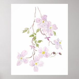 Poster aquarelle violette de clematis