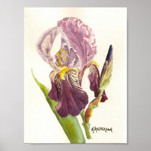Poster Aquarelle violette Iris
