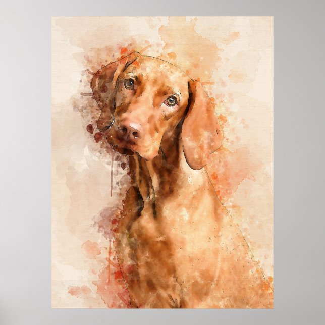Poster Aquarelle Vizsla (Devant)