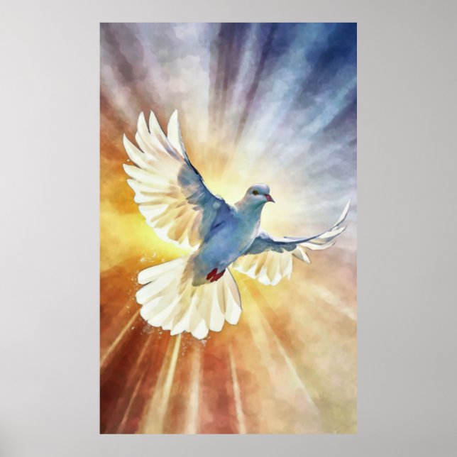 Poster Aquarelle White Flying Dove (Devant)