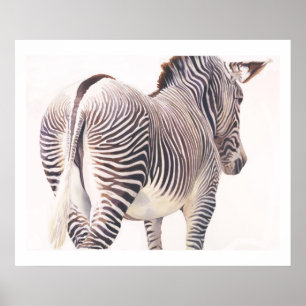 Poster Aquarelle Zebra Wildlife