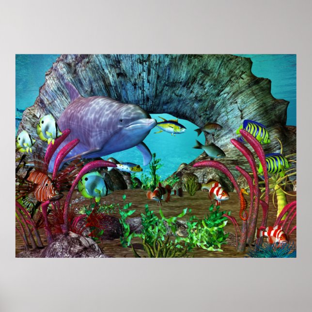 Poster Aquarium 3D Dolphin Discovery 2 (Devant)