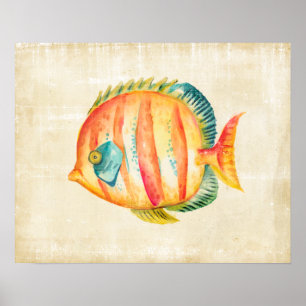 Poster Aquarium coloré Poisson