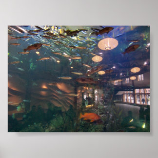 Poster Aquarium de Seattle