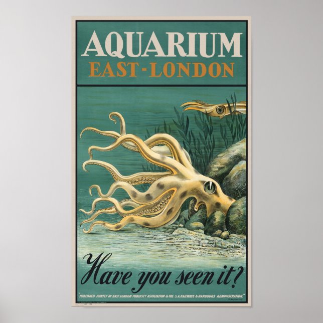 Poster Aquarium, East London - Octopus (Devant)