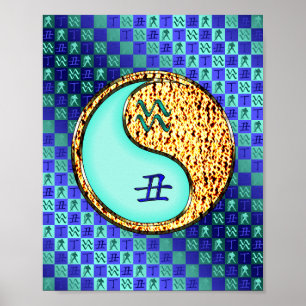 Poster Aquarius & Fire Ox