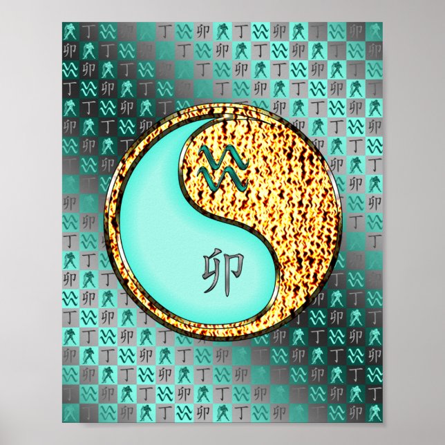 Poster Aquarius & Fire Rabbit (Devant)