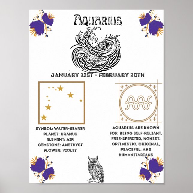 Poster Aquarius Zodiac (Devant)