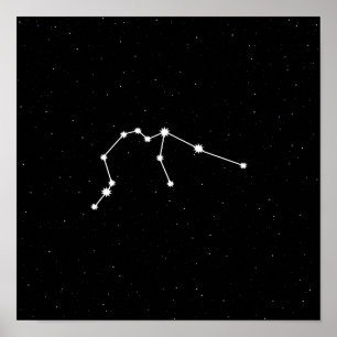 Poster Aquarius Zodiac Constellation moderne noir et blan