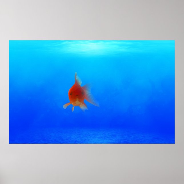 Poster aquatique sous-marin (Devant)