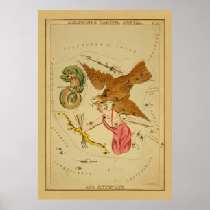 Poster Aquila l'aigle - Carte astronomique Vintage