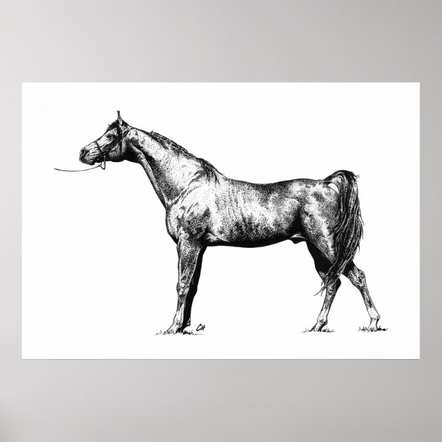 Poster Arabian en stylo et encre (Devant)