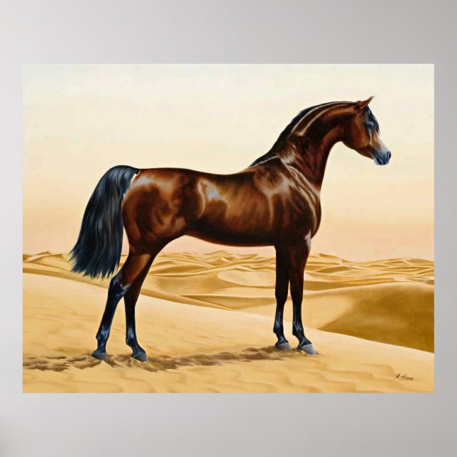 Poster Arabian Horse - William Barraud (Devant)
