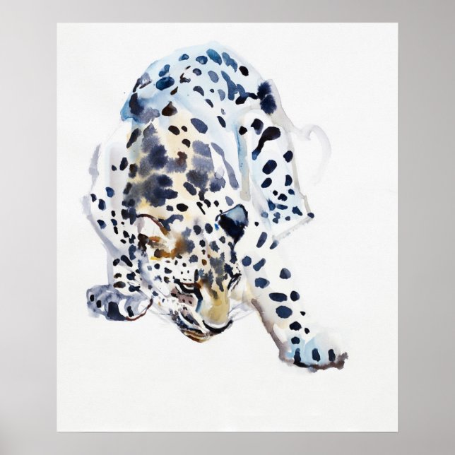 Poster Arabian Leopard 2008 5 (Devant)
