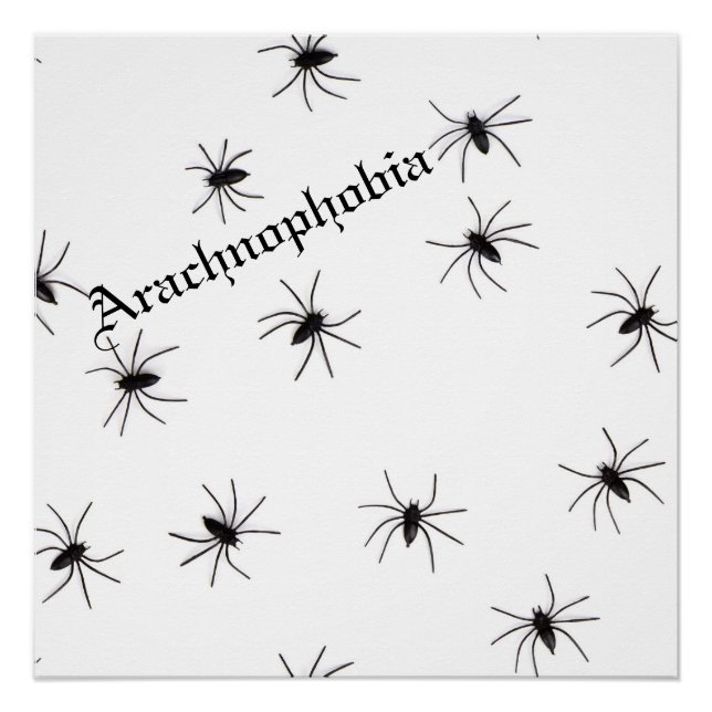 Poster Araignée (Devant)